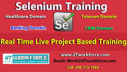 Selenium Real-time Project Workshop experience