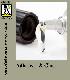 Adhesives & Glues Manufacturers & Suppliers in UAE