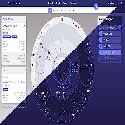 Online astrologer...