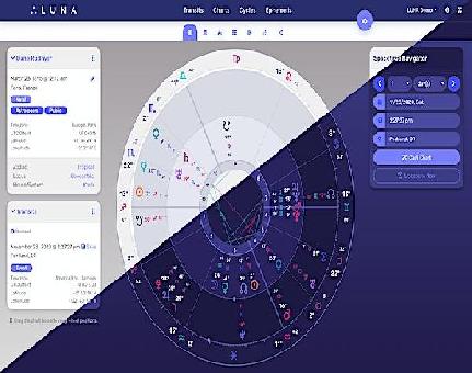 Online astrologer Consultant