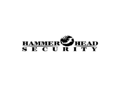 Hammer Head Security 