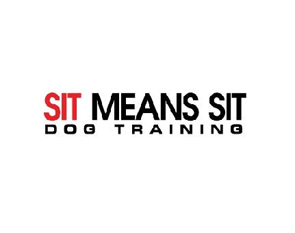 Sit Means Sit Dog Training Syracuse