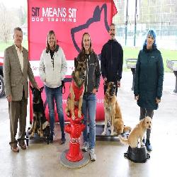 Sit Means Sit Dog...