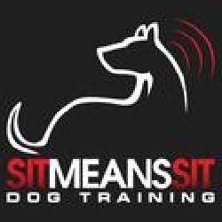 Sit Means Sit Dog...