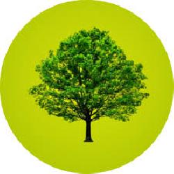 Plant a Tree For...