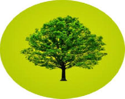 Plant a Tree For Someone Who Has Died