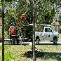 Lumberjack Tree Care