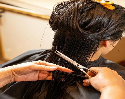 Blonde and Bronde Salon