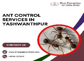 Kiran Pest