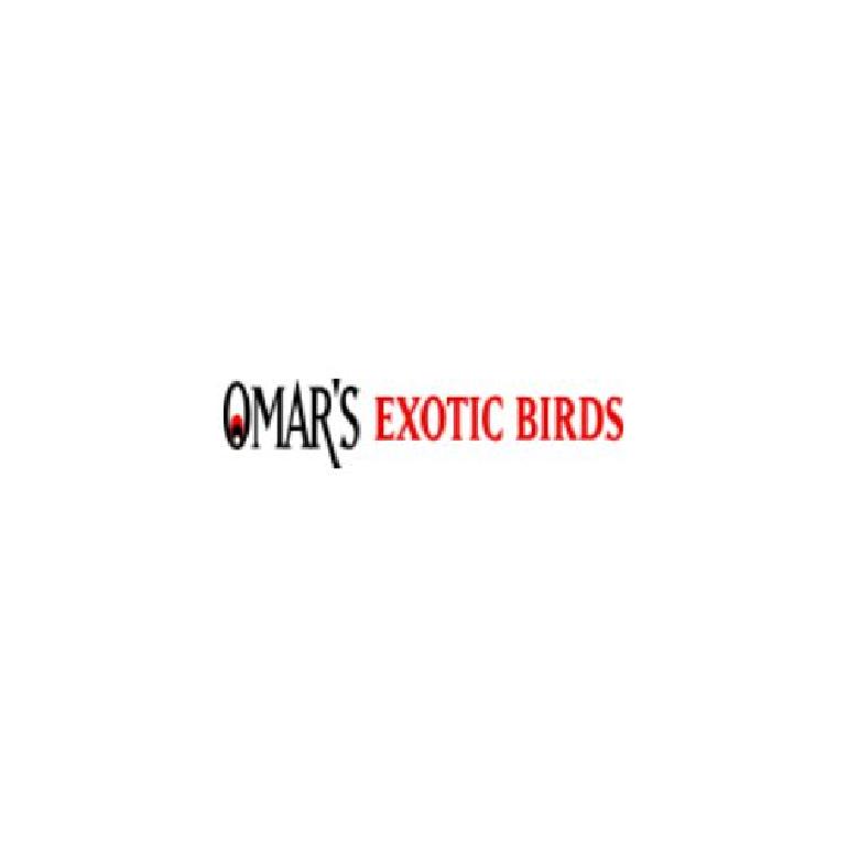 Omar's Exotic Birds
