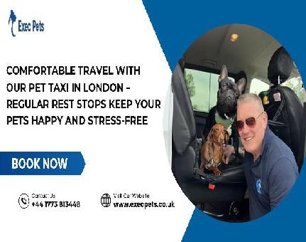 Reliable Pet Transport Services in London