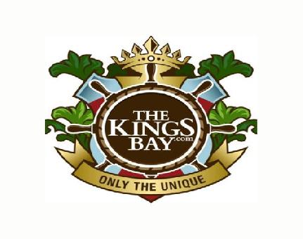 Door Handles Wrought Iron