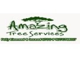 Amazing Tree Services