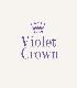 Violet Crown Austin Landscape and Design