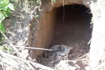 20 meter tunnel discovered from Pakistan in J&K, Tunnel discovered in Jammu and Kashmir, bsf found 20 meter tunnel from pakistan in sambha j k, Dharmedra pareek