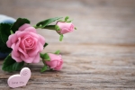 gift ideas for parents who live far away, mother's day away from home, 8 ways to send love to your mom on mother s day even when you are away from home, Mothers day gift ideas for parents who live far away, mother's day away from home, 8 ways to send love to your mom on mother s day even when you are away from home, Mothers day