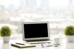 ecology, purify, a plant in your office can help in preventing sick days says experts, Sick days