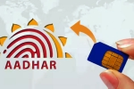 Chandigarh woman 80 lakhs, Chandigarh woman cyber fraud, chandigarh woman loses rs 80 lakh in aadhaar sim link scam, Cyber crime
