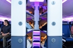 Air New Zealand Bunk Beds new updates, Air New Zealand Economy Flights, air new zealand introduces bunk beds in economy flights, Privacy