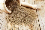 Ajwain, Carom Seeds news, benefits of adding carom seeds to your diet, Indian cuisine