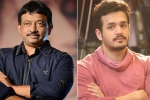 Akhil Akkineni updates, Officer, akhil rgv film in trouble, Director ram gopal varma