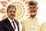 Anand Mahindra breaking, Anand Mahindra updates, anand mahindra heaps praise on andhra cm chandrababu naidu, Andhra pradesh