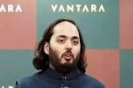 Anant Ambani's Vantara controversy, Anant Ambani's Vantara, operations of anant ambani s vantara under probe, Gujarat government
