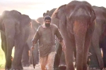 Aranya​ rating, Aranya​ rating, aranya movie review rating story cast and crew, Vishnu vishal