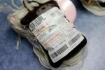 the Food and Drug Administration, Arizona blood bank, arizona blood bank plans to test donations for zika, Blood banks