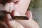 Arizona to legalize Marijuana, Arizona to legalize Marijuana, arizona to vote for legalizing marijuana, Arizona voters