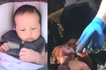 Baby India, baby india found in plastic bag, over 1000 people steps forward to adopt baby india found in plastic bag in georgia, Freeman Baby India, baby india found in plastic bag, over 1000 people steps forward to adopt baby india found in plastic bag in georgia, Freeman