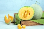 Muskmelon Seeds news, Muskmelon Seeds season, health benefits of muskmelon seeds, Oestrogen
