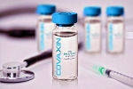 UP government, UP government, bharat biotech to begin phase 3 trials of covaxin in up from october, Nasal vaccine for covid 19