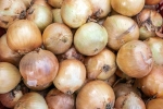 Black Fungus on Onions advise, Black Fungus on Onions for health, black fungus on onions sparks discussion, Plastic