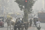 delhi, pollution, blanket of smog covers delhi as air pollution worsens, Dhyan chand
