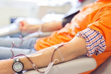 Blood Donation Drive – Satya Sai Center