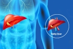 Fatty Liver Disease News body organs, Fatty Liver Disease News body, body organs that can be affected by fatty liver disease, News updates