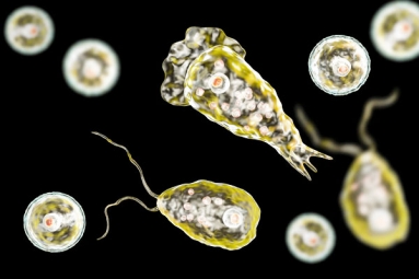 19 Killed in Kerala due to Brain-Eating Amoeba