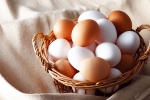 Brown Eggs Vs White Eggs, Brown Eggs Vs White Eggs which is healthy, brown eggs vs white eggs which is healthy, Vitamins