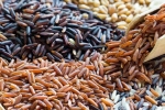 Brown Rice Vs Black Rice differences, Brown Rice Vs Black Rice better, brown rice vs black rice which one is healthier, Black rice Brown Rice Vs Black Rice differences, Brown Rice Vs Black Rice better, brown rice vs black rice which one is healthier, Black rice
