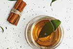 Cinnamon Water latest, Cinnamon Water, can cinnamon water manage heart diseases, Simple