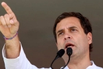 wayanad congress president, rahul gandhi wayanad, congress prez rahul gandhi likely to contest from kerala, 2014 general election