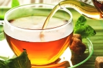 properties, properties, is consuming tea linked to immunity, Food options