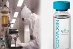 Coronavirus vaccine, Covaxin India, covaxin india s 1st covid 19 vaccine to get approval for human trials, Chikungunya Coronavirus vaccine, Covaxin India, covaxin india s 1st covid 19 vaccine to get approval for human trials, Chikungunya