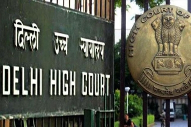 Minor boy’s Custody granted to NRI father: Delhi HC