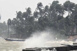 Cyclone Ditwah Impacts Tamil Nadu