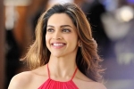 Films in Hollywood for Deepika, Films in Hollywood for Deepika, deepika confirms no films in hollywood, Vin diesel