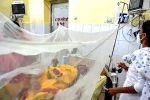 Dengue India updates, Dengue latest, centre rushes teams to 9 states after dengue outbreak, Dengue outbreak