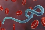 Denver Health, Ebola, denver health aims for quicker public alerts over ebola scare, Ebola outbreak