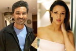 Triptii Dimri breaking, Dhanush, dhanush to romance animal actress triptii dimri, Dhadak